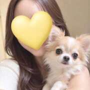 ヒメ日記 2026/10/09 09:47 投稿 白花　結 キングアンドクイーン