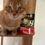 ヒメ日記 2024/12/12 19:04 投稿 白川　あおい キングアンドクイーン