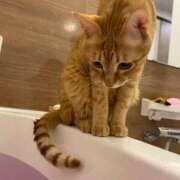 ヒメ日記 2024/12/23 19:16 投稿 白川　あおい キングアンドクイーン