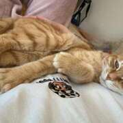 ヒメ日記 2024/12/27 14:05 投稿 白川　あおい キングアンドクイーン