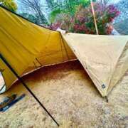 ヒメ日記 2025/01/27 20:45 投稿 白川　あおい キングアンドクイーン