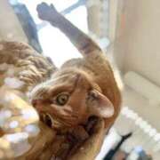 ヒメ日記 2025/02/02 11:39 投稿 白川　あおい キングアンドクイーン