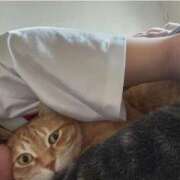 ヒメ日記 2025/03/03 09:15 投稿 白川　あおい キングアンドクイーン