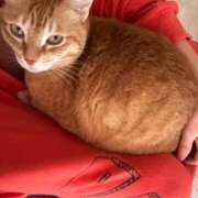 ヒメ日記 2025/05/05 13:00 投稿 白川　あおい キングアンドクイーン