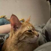 ヒメ日記 2025/06/06 09:15 投稿 白川　あおい キングアンドクイーン