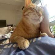 ヒメ日記 2025/06/18 11:20 投稿 白川　あおい キングアンドクイーン