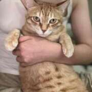 ヒメ日記 2025/06/30 09:15 投稿 白川　あおい キングアンドクイーン