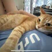 ヒメ日記 2025/08/10 18:07 投稿 白川　あおい キングアンドクイーン