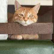 ヒメ日記 2025/08/25 09:01 投稿 白川　あおい キングアンドクイーン