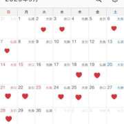 ヒメ日記 2025/08/27 09:01 投稿 白川　あおい キングアンドクイーン