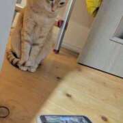 ヒメ日記 2025/08/28 09:51 投稿 白川　あおい キングアンドクイーン