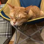 ヒメ日記 2025/09/25 09:14 投稿 白川　あおい キングアンドクイーン