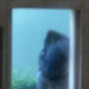 ヒメ日記 2025/10/24 15:02 投稿 白川　あおい キングアンドクイーン