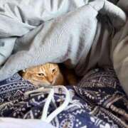 ヒメ日記 2025/10/28 09:01 投稿 白川　あおい キングアンドクイーン