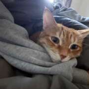 ヒメ日記 2025/11/02 14:04 投稿 白川　あおい キングアンドクイーン