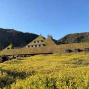 ヒメ日記 2025/11/17 09:30 投稿 白川　あおい キングアンドクイーン