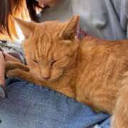 ヒメ日記 2025/11/21 09:31 投稿 白川　あおい キングアンドクイーン