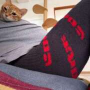 ヒメ日記 2025/11/22 13:27 投稿 白川　あおい キングアンドクイーン