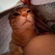 ヒメ日記 2025/11/28 09:15 投稿 白川　あおい キングアンドクイーン