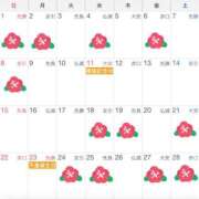 ヒメ日記 2026/01/29 11:04 投稿 白川　あおい キングアンドクイーン