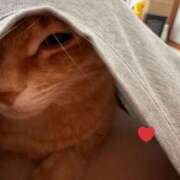 ヒメ日記 2026/02/04 09:15 投稿 白川　あおい キングアンドクイーン