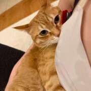 ヒメ日記 2026/03/18 10:02 投稿 白川　あおい キングアンドクイーン