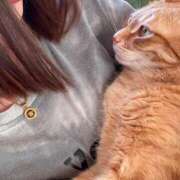 ヒメ日記 2026/04/17 09:15 投稿 白川　あおい キングアンドクイーン