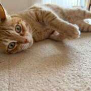 ヒメ日記 2026/04/20 09:15 投稿 白川　あおい キングアンドクイーン