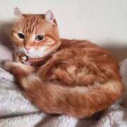 ヒメ日記 2025/02/01 16:01 投稿 峰　不二子 キングアンドクイーン