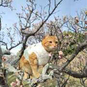 ヒメ日記 2025/03/06 18:35 投稿 峰　不二子 キングアンドクイーン