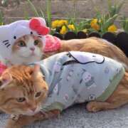 ヒメ日記 2025/03/26 22:14 投稿 峰　不二子 キングアンドクイーン