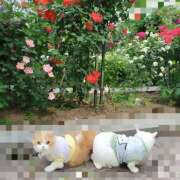 ヒメ日記 2025/05/16 08:18 投稿 峰　不二子 キングアンドクイーン