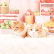 ヒメ日記 2026/01/24 16:29 投稿 峰　不二子 キングアンドクイーン