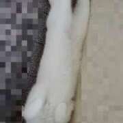 ヒメ日記 2026/01/28 17:07 投稿 峰　不二子 キングアンドクイーン