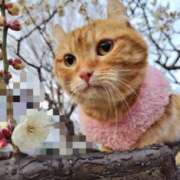 ヒメ日記 2026/02/12 20:19 投稿 峰　不二子 キングアンドクイーン