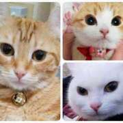 ヒメ日記 2026/02/22 19:40 投稿 峰　不二子 キングアンドクイーン