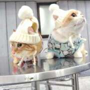 ヒメ日記 2026/02/27 21:10 投稿 峰　不二子 キングアンドクイーン