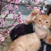 ヒメ日記 2026/03/25 11:46 投稿 峰　不二子 キングアンドクイーン