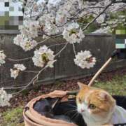ヒメ日記 2026/04/06 14:18 投稿 峰　不二子 キングアンドクイーン