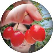 ヒメ日記 2025/06/16 16:34 投稿 篠塚まこ(しのづかまこ) 五十路マダムエクスプレス厚木店(カサブランカグループ)