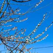 ヒメ日記 2025/03/22 10:51 投稿 篠塚(しのづか) 人妻出逢い会 百合の園 新宿店