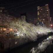 ヒメ日記 2026/04/11 20:27 投稿 ねね 横浜回春性感マッサージ倶楽部