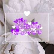 ヒメ日記 2024/12/11 01:32 投稿 らいむ 横浜コスプレデビュー（シンデレラグループ）