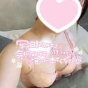 ヒメ日記 2024/12/15 10:53 投稿 ことみ One More 奥様　錦糸町店