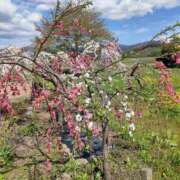 ヒメ日記 2025/05/06 20:22 投稿 伊藤咲良(いとうさくら) 東京ヒストリー　秘密の約束