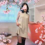 ヒメ日記 2026/02/21 20:32 投稿 伊藤咲良(いとうさくら) 東京ヒストリー　秘密の約束