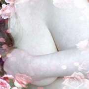 ヒメ日記 2025/06/13 10:30 投稿 めいこ 熟女の風俗最終章 新宿店