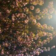 ヒメ日記 2025/04/13 17:31 投稿 秋野えり 洗体アカスリとHなスパのお店