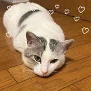 ヒメ日記 2025/12/01 13:17 投稿 秋野えり 洗体アカスリとHなスパのお店