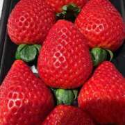 ヒメ日記 2025/12/26 16:24 投稿 秋野えり 洗体アカスリとHなスパのお店